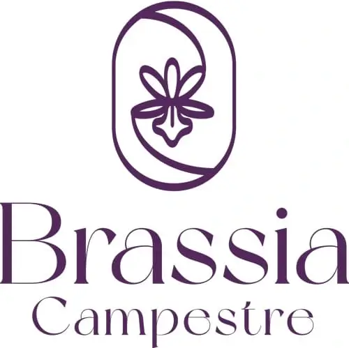 Brassia Campestre Logo