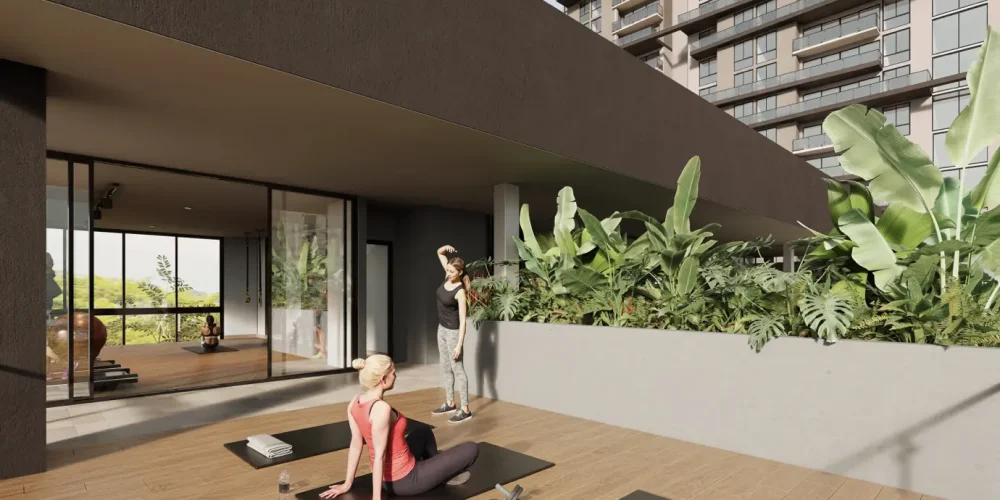 TERRAZA GIMNASIO